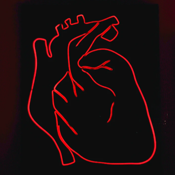 Newsletter: The Heart of the Matter