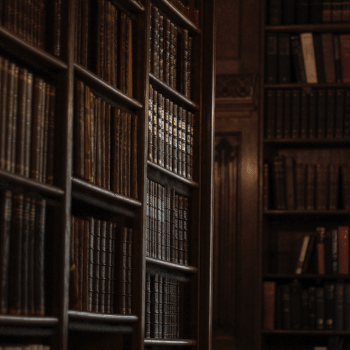 Silent Witnesses to History