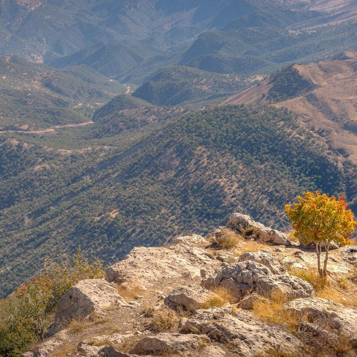 Introduction to al-Ghazali
