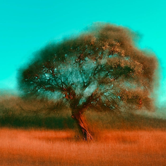 Modern Spiritual Poetry