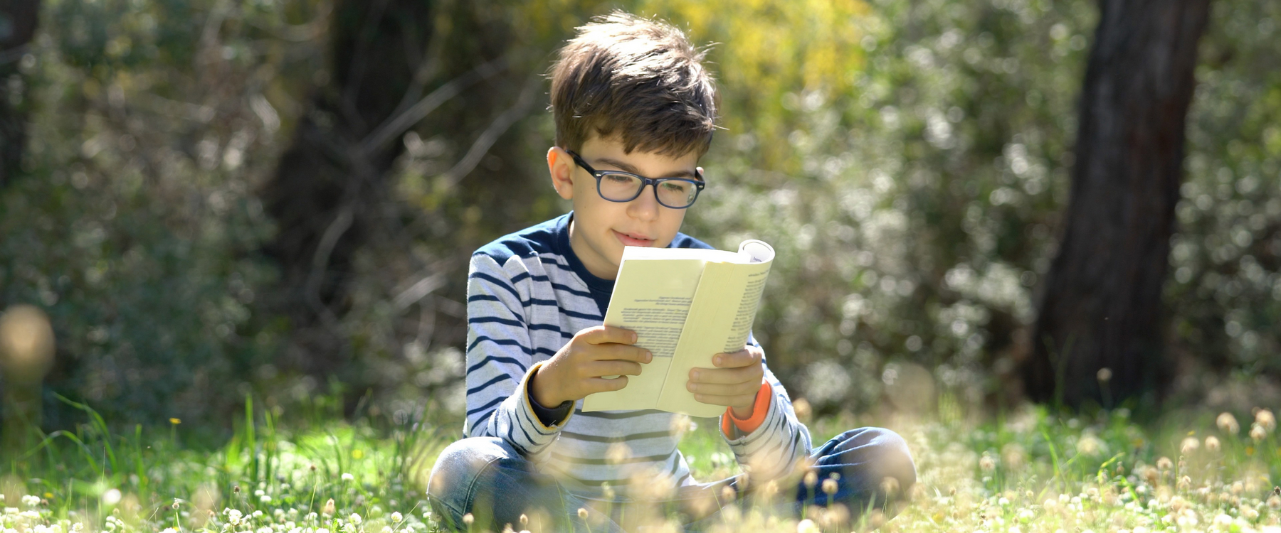 Children's Books for Independent Readers