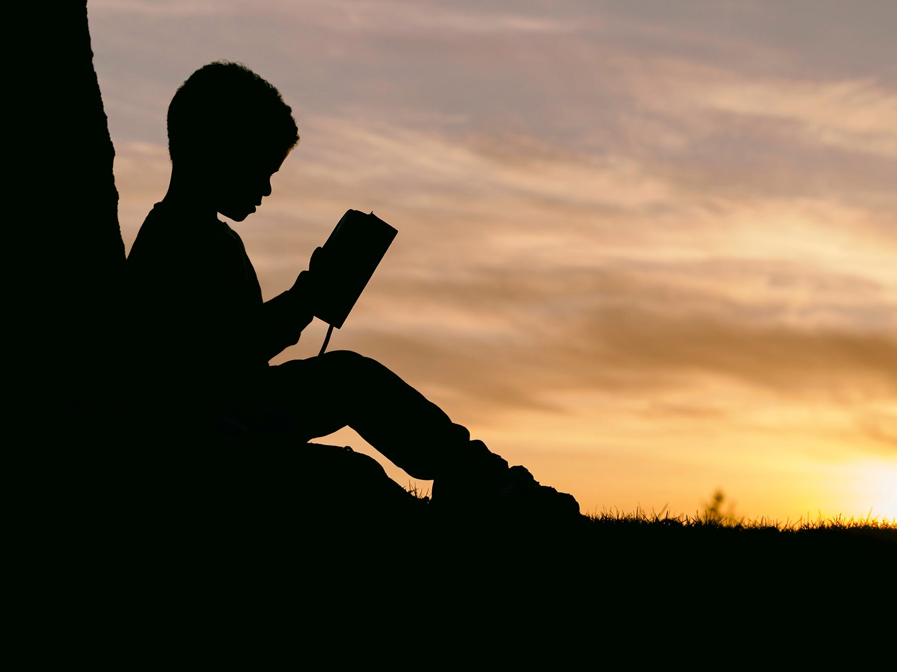 Reflections on 'Reader, Come Home'