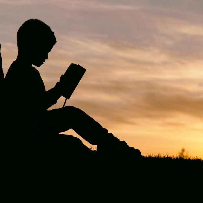 Reflections on 'Reader, Come Home'