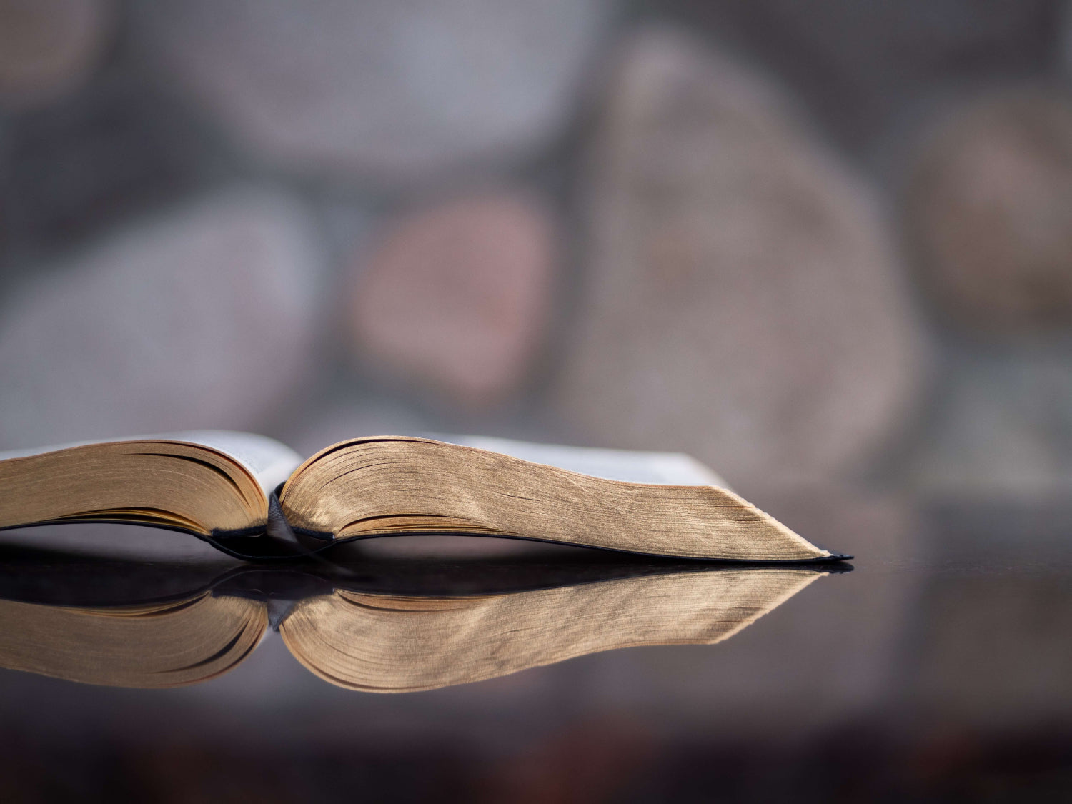 Reflections on the 2020 Book Club