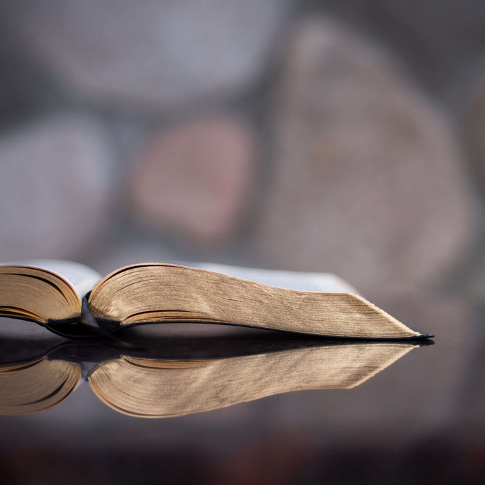 Reflections on the 2020 Book Club