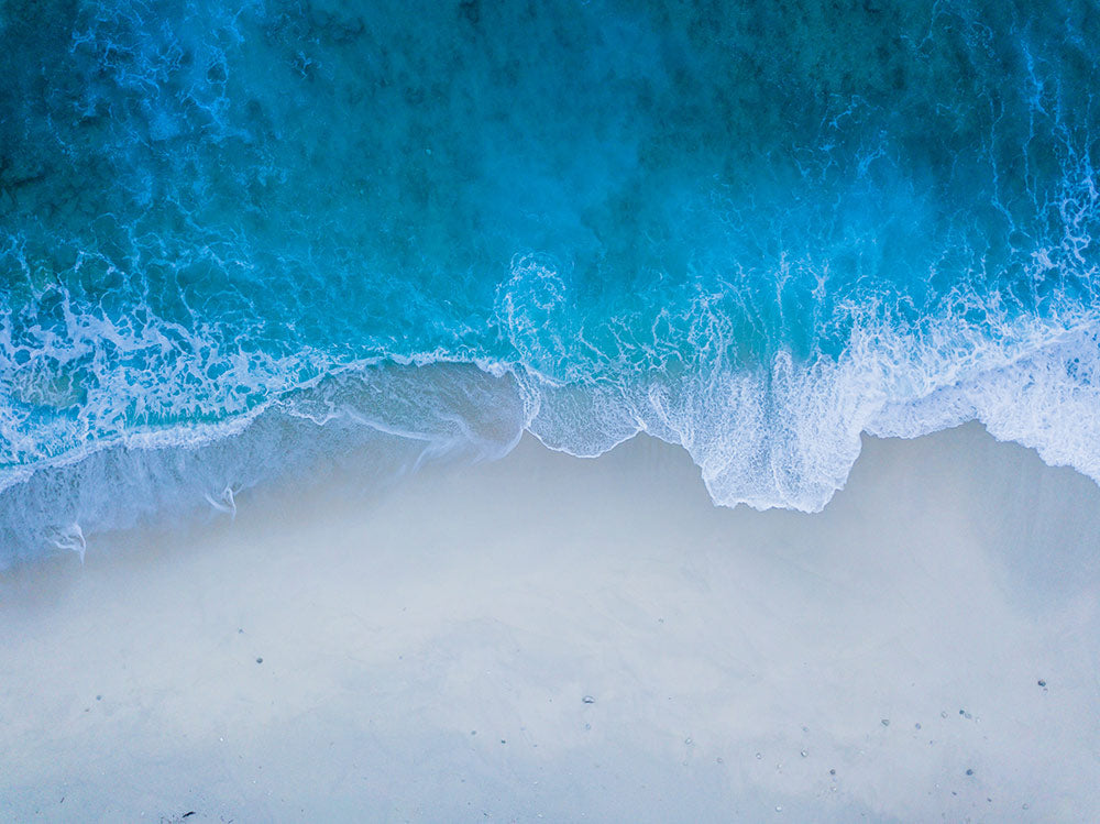 Newsletter: Turning the Tide