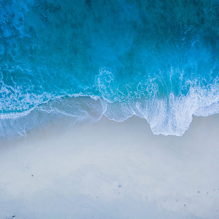 Newsletter: Turning the Tide
