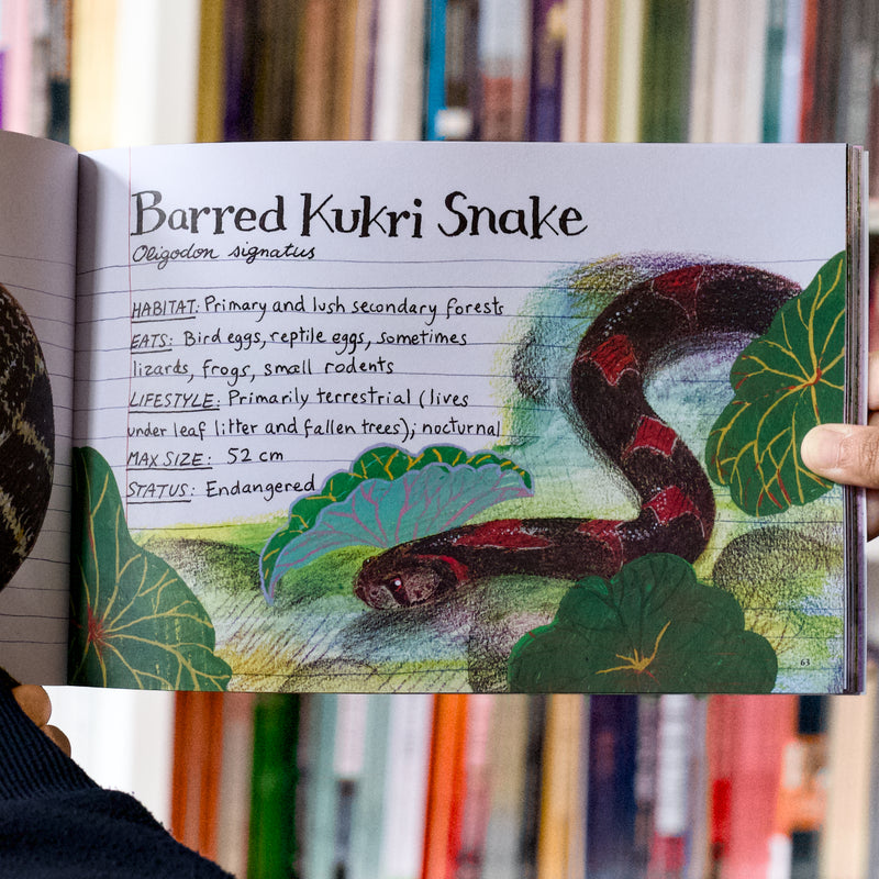 Snakes of Singapore: A Slightly Unhinged Field Guide