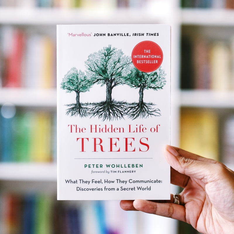 Hidden Life of Trees