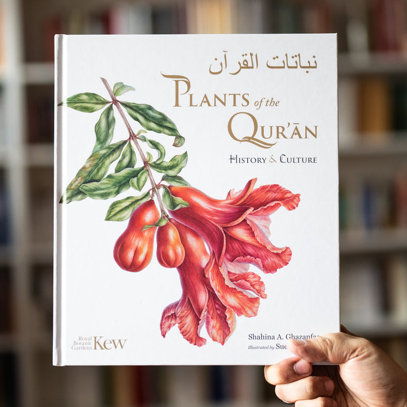 Reports on the Dajjal