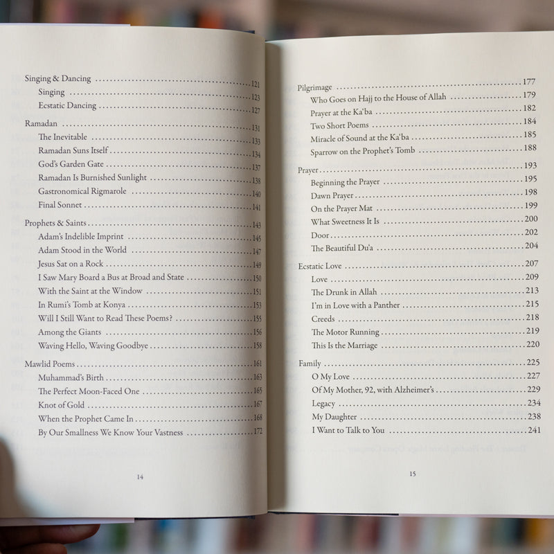 From a Shore Beyond Water: Selected Poems of Daniel Abdal-Hayy Moore