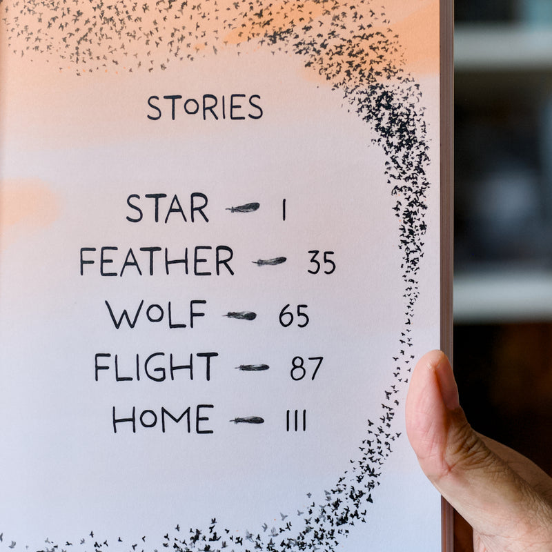 Wild Journey: A Flight of Stories Across Deserts, Forests, Cities and Seas