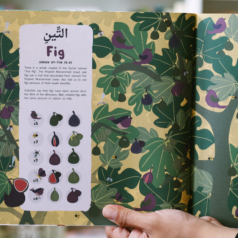 Plants in the Quran: Search & Find