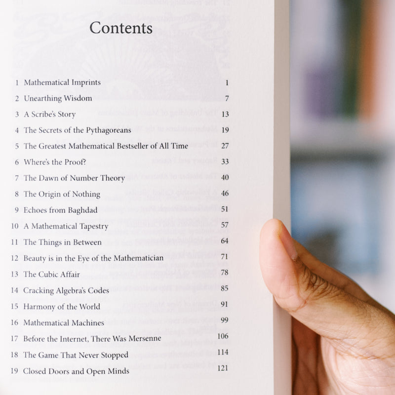 A Little History of Mathematics PB