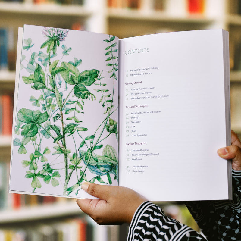 A Perpetual Journal Practice: Building a Connection with Nature through Art