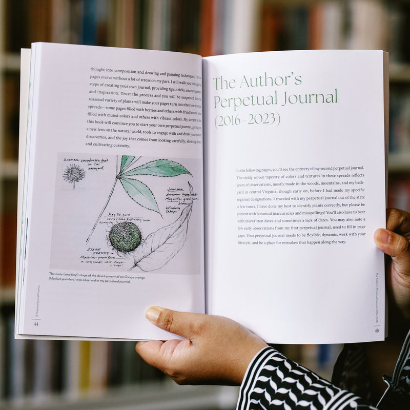 A Perpetual Journal Practice: Building a Connection with Nature through Art