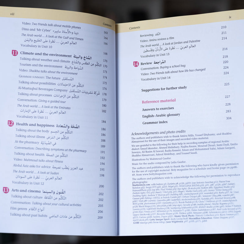 Mastering Arabic 2