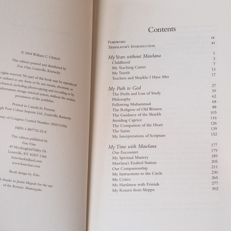 Me & Rumi: The Autobiography of Shams-i Tabrizi