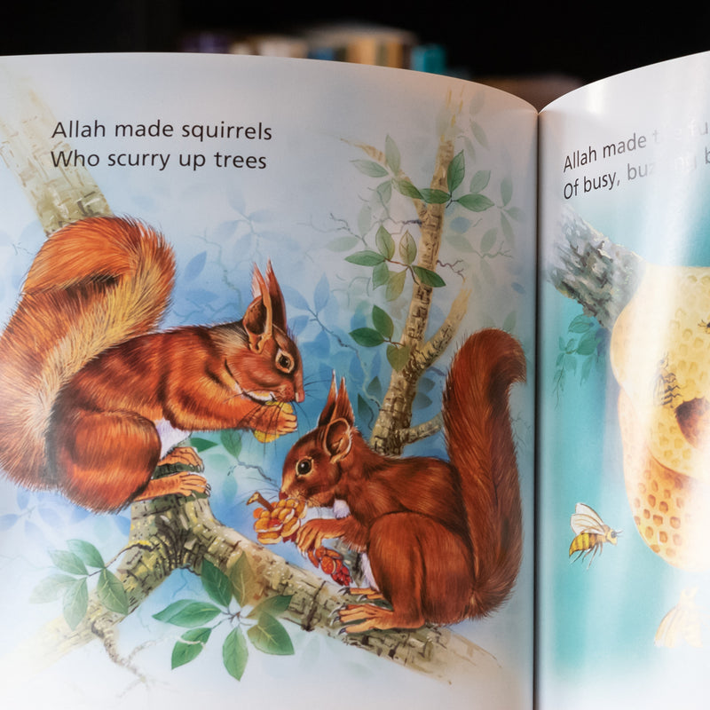 Animals